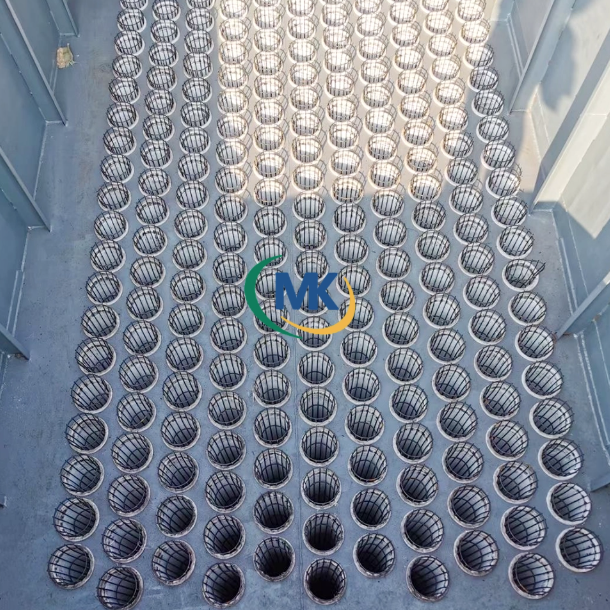 Filter Cage